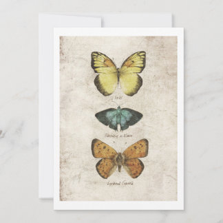Butterflies collection invitation