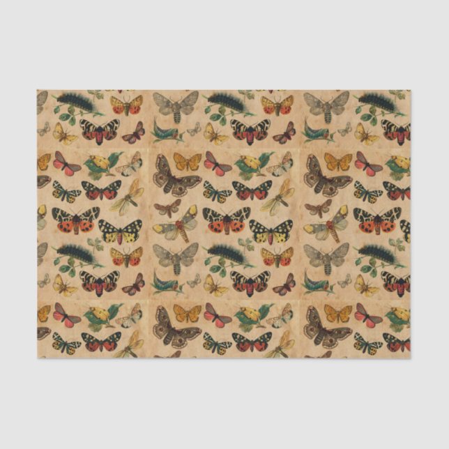 Butterflies Collection Vintage Antique Decoupage Tissue Paper (Front)