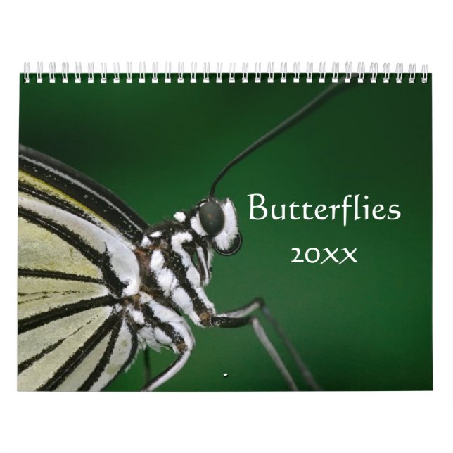 Butterflies Customisable Calendar (Cover)