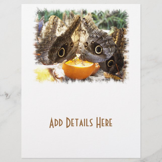 BUTTERFLIES FLYER (Front)