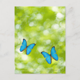 Butterflies flying, Digital Composite Postcard