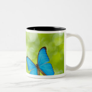 Butterflies flying, Digital Composite Two-Tone Coffee Mug