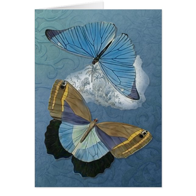 Butterflies in Flight - Customise (Front)