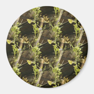 Butterflies in love.... magnet