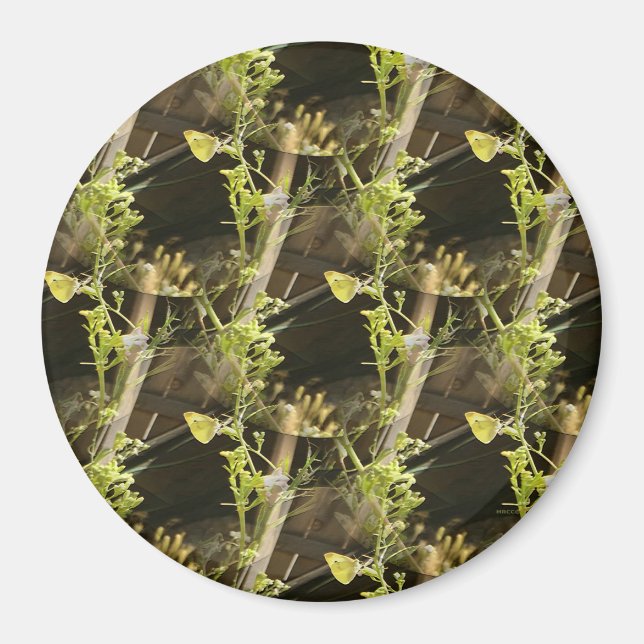Butterflies in love.... magnet (Front)