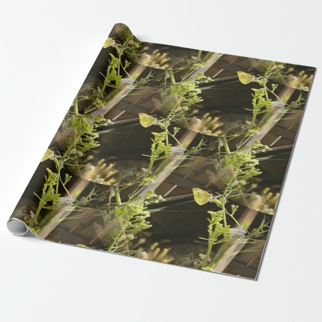 Butterflies in love.... wrapping paper (Unrolled)