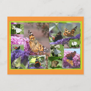 Butterflies in Summer Collage DIY Postcard