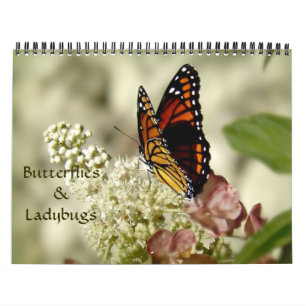 Butterflies & Ladybugs Photography Calendar