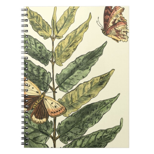 Butterflies & Leaves with Black Frame Notebook (Front)