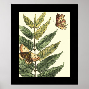 Butterflies & Leaves with Black Frame Poster