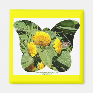 BUTTERFLIES LOVE SUNFLOWERS MAGNET