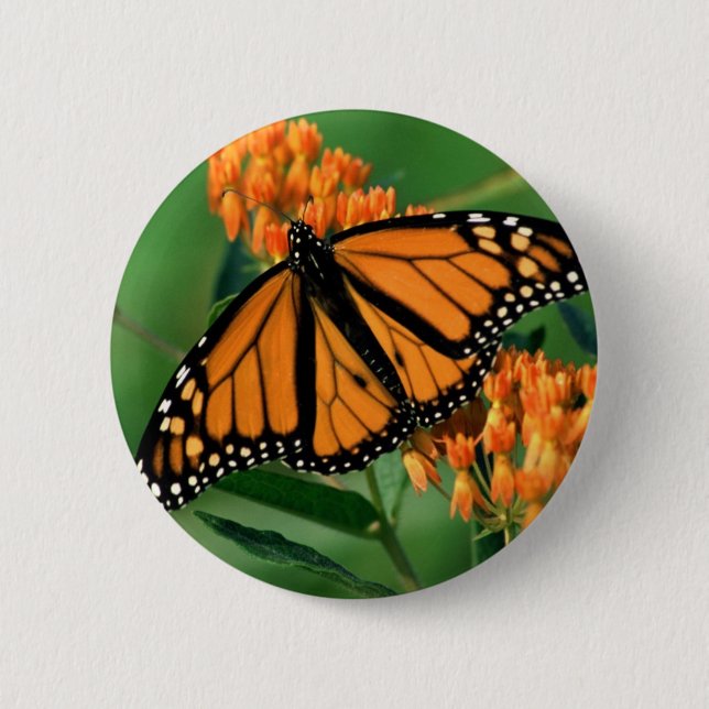 butterflies monarch butterfly 6 cm round badge (Front)