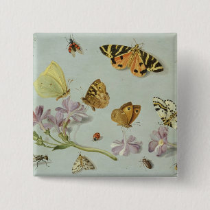 Butterflies, moths and other insects 15 cm square badge