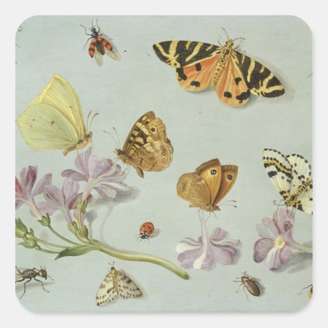 Butterflies, moths and other insects square sticker (Front)