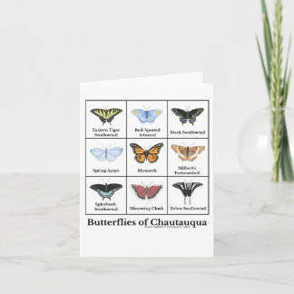 Butterflies of Chautauqua  Card
