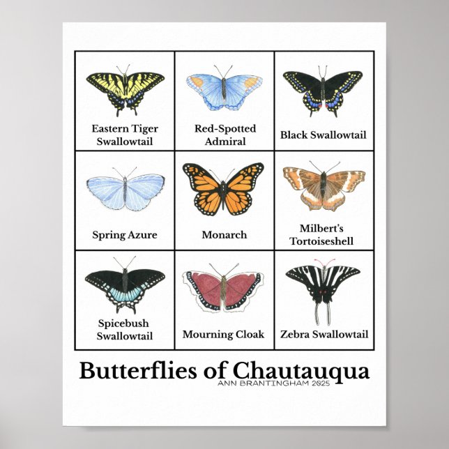 Butterflies of Chautauqua Poster (Front)
