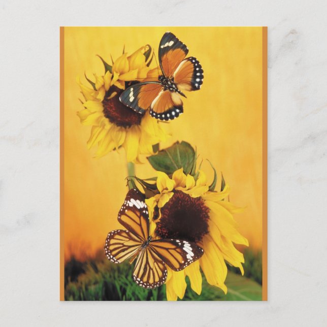 Butterflies of Summer 1 Postcard (Front)