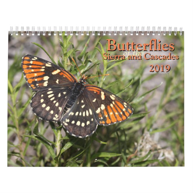 Butterflies of the Sierra and Cascades Calendar (Cover)