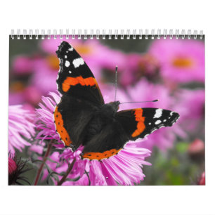 Butterflies of the World 2020 calendar