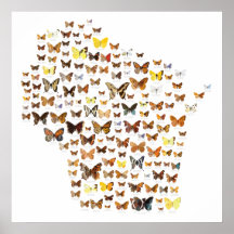 Butterflies of Wisconsin