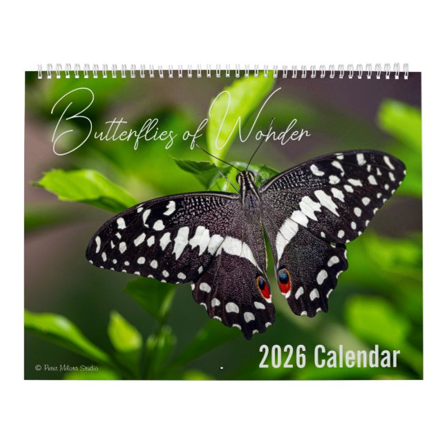 Butterflies of Wonder 2026 Nature Calendar (Cover)