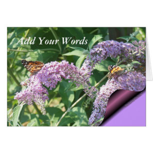 Butterflies on ButterflyBush-customise