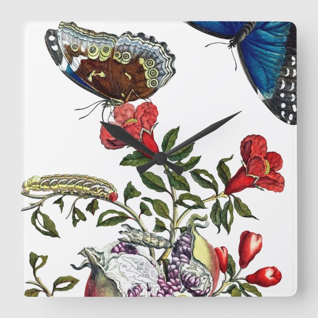 Butterflies on pomegranate square wall clock (Front)