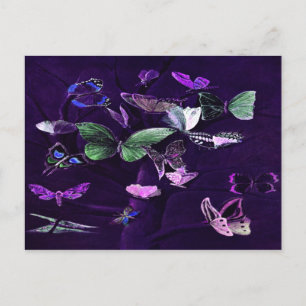 Butterflies On Purple Postcard