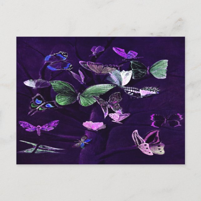 Butterflies On Purple Postcard (Front)