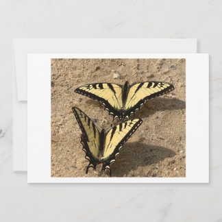 Butterflies on the Beach Holiday Card