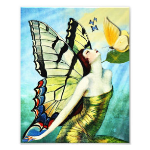 Butterflies Photo Print