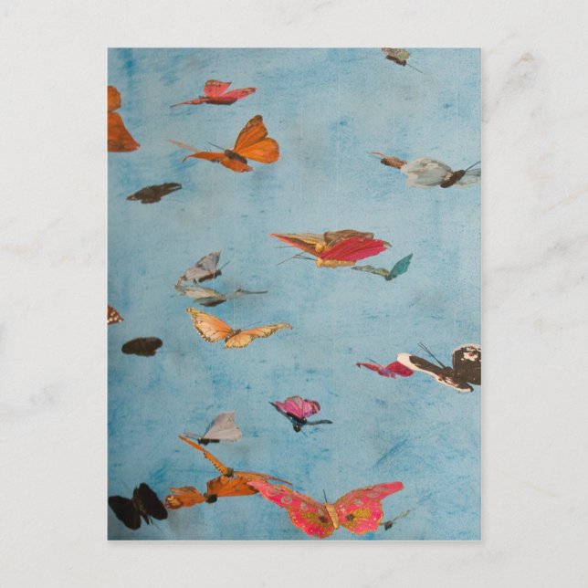 Butterflies Postcard (Front)