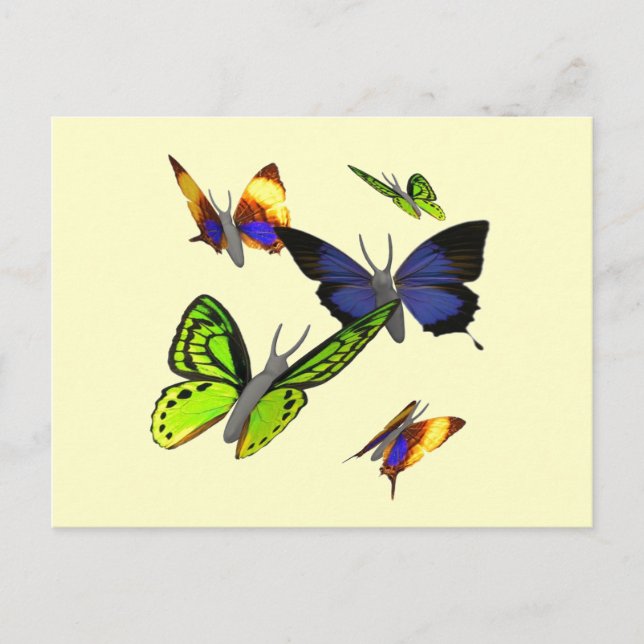 Butterflies Postcard (Front)