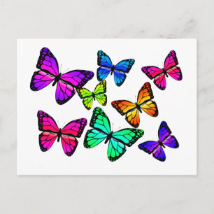 Butterflies Postcard