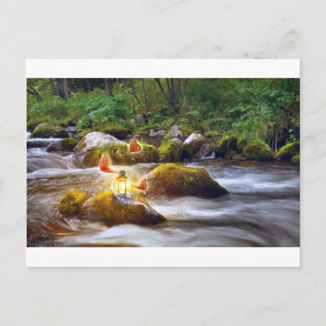 Butterflies Postcard (Front)