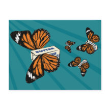 Butterflies