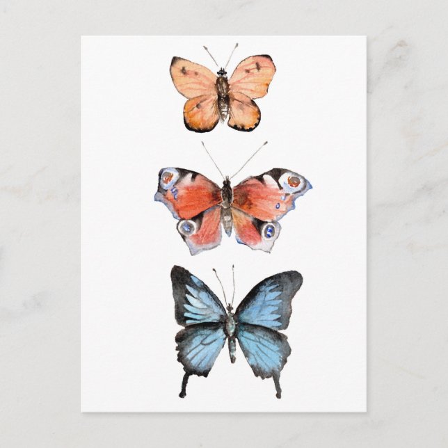 Butterflies Postcard (Front)