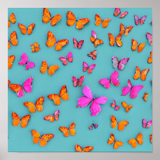 Butterflies   poster