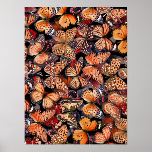 Butterflies Poster