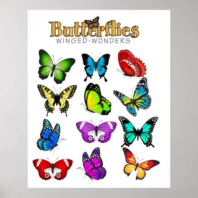 Butterflies Poster (Front)