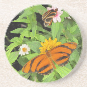 Butterflies Sandstone Coasters