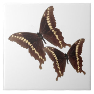 Butterflies Tile