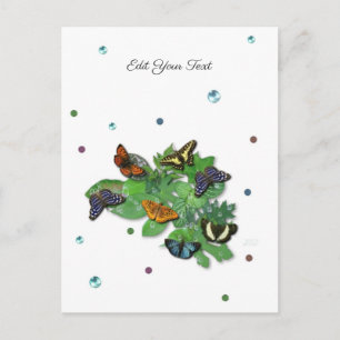 Butterflies with Leaves Raindrops and Pearls Postcard