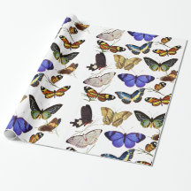 Butterflies Wrapping Paper