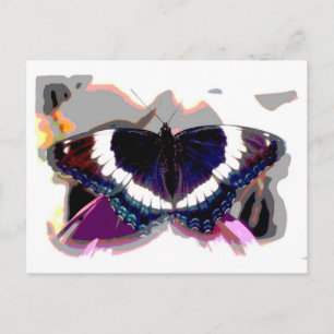 Butterfly 1 Abstract Art Photography Postcard