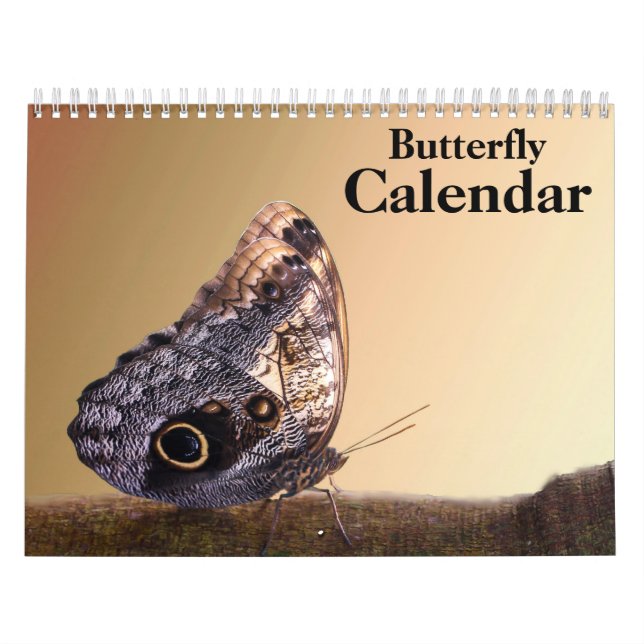 Butterfly 2026 calendar (Cover)