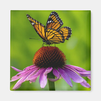 Butterfly 2" Magnet