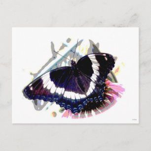 Butterfly 2 postcard