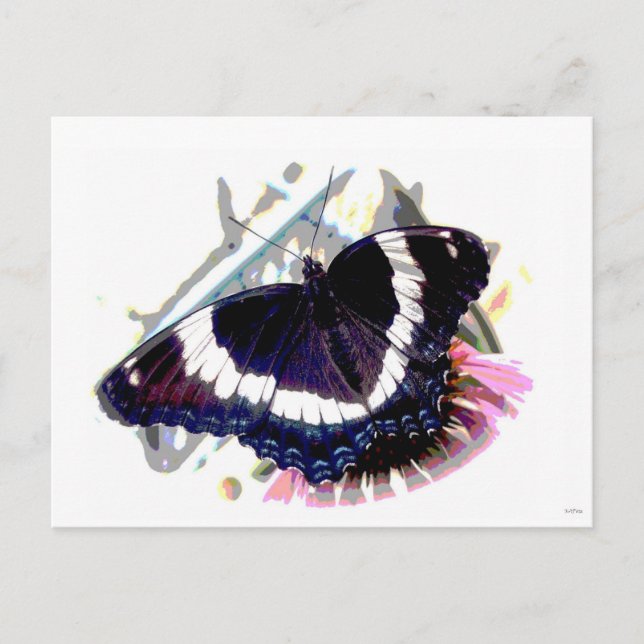 Butterfly 2 postcard (Front)