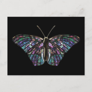 Butterfly-5 Postcard